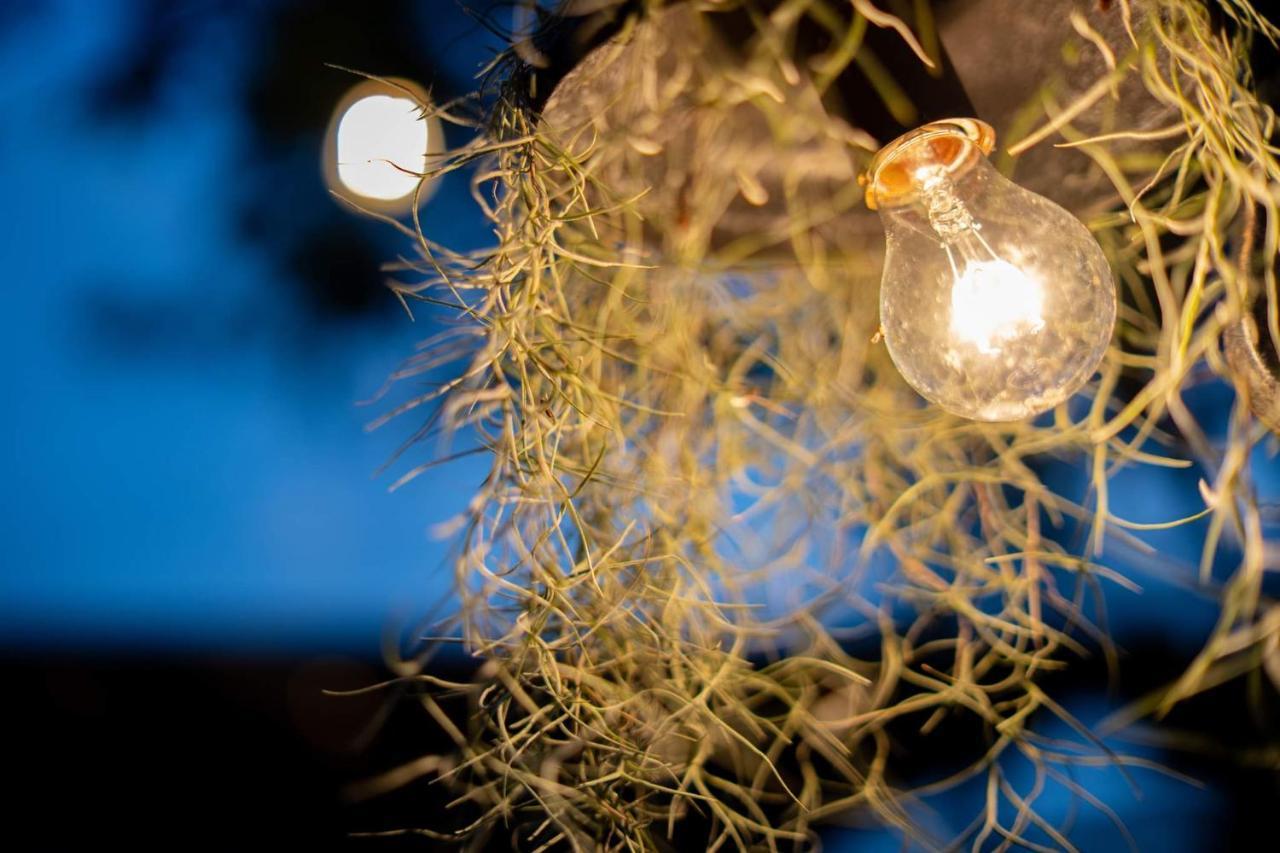فيلا Eco Haus Garden Residential جوهر بهرو المظهر الخارجي الصورة